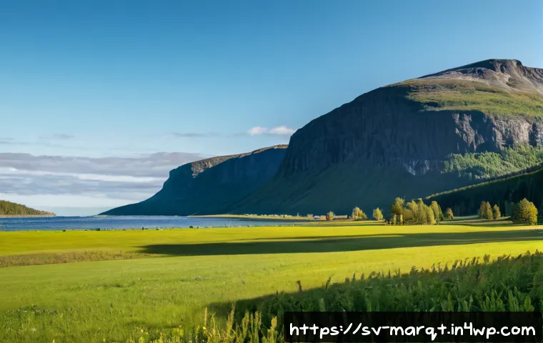 Doftmarknadsföring för företag: experttips, kostnader och val av rätt lösning 4 향기 마케팅을 위한 전문가 팁 관련 이미지 2
